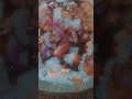 #song #viralmusic #trending #viralsong #shortvideo #foodie #love #food #viralvideo #viral