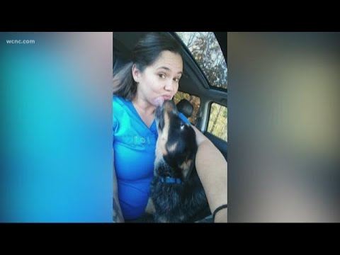 Video: Family Spots deres hund online 6 måneder efter at de troede, at hun blev euthaniseret