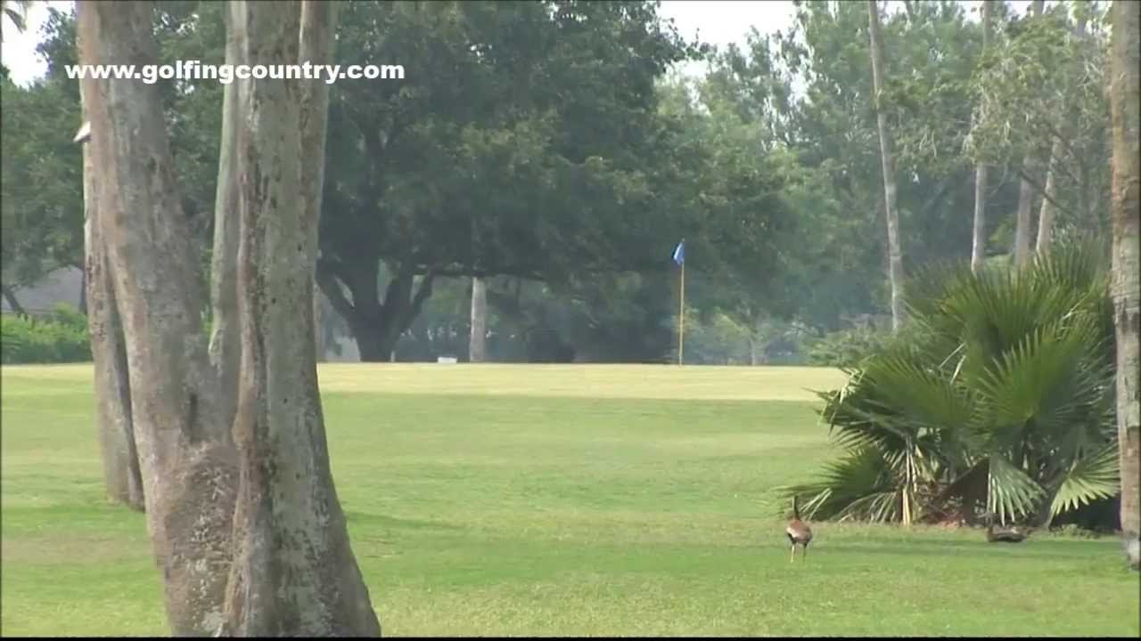 HARLINGEN COUNTRY CLUB, Harlingen, Texas YouTube