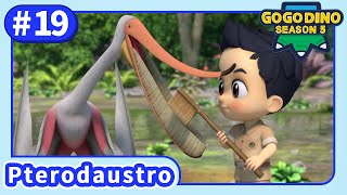 【GOGODINO S5】E19 Pterodaustro with 1000 Teeth | Dinosaurs for kids | Cartoon | Jurassic |Toys |Robot