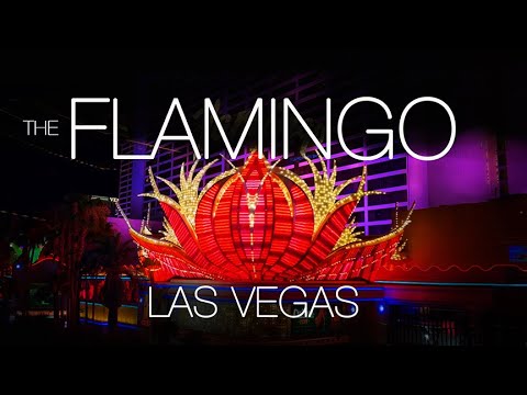 I stayed at The Flamingo Las Vegas! Why should you stay there?