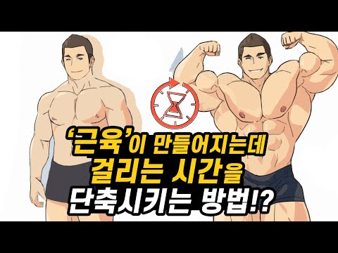 근육을  만드는데 &rsquo;걸리는 시간&rsquo;과 근육량 증가에 효과적인 &rsquo;운동 프로그램&rsquo;