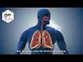 GRADE 9 BIOLOGY: RESPIRATORY SYSTEM