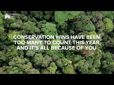 #YourConservationWins2020: The places you’ve saved with WLT in a year like no other