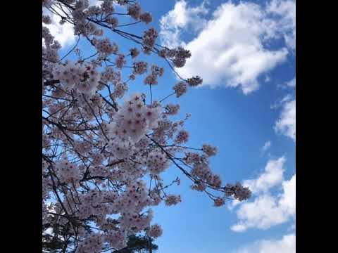 [TJ노래방라운지] 나는너좋아 - 조용필