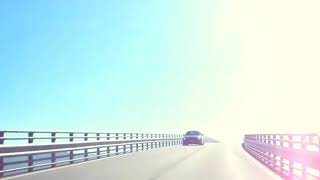 Pet Dreams - Endless Weekend