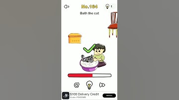 Brain Out Walkthrough Level 164 Bath The Cat