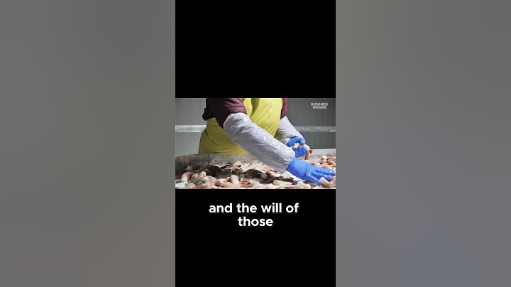 Louisiana's SHOCKING Shrimp Industry Future Revealed! #shorts #louisianashrimp