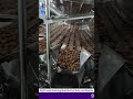 Pearl Packing Multi Head Packing Machine for Nuts & Snacks | High-Speed Weighing & Packing Demo
