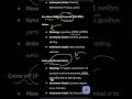 vocab with mnemonic part 3 #Shorts #vocabs