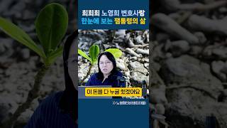희희희 노영희 변호사랑 한눈에 보는 잼통령의 삶