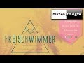 Freischwimmer - California Dreamin (Official Audio)