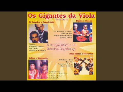 Peão da Cidade - song and lyrics by Sulino & Marrueiro