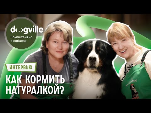 Как кормить собаку натуралкой? – Интервью с владелицами бернских зенненхундов