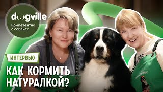 Как кормить собаку натуралкой? – Интервью с владелицами бернских зенненхундов