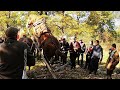 КІННІ ЗМАГАННЯ СЕЛО УЛИЧНЕ/ПАРА КОНЕЙ/КОНІ ВАГОВОЗИ/ КОНІ В УКРАЇНІ/DRAFT HORSES