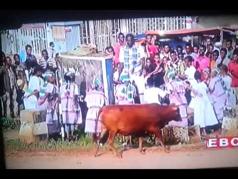 Kaffa Ethiopia Coffee