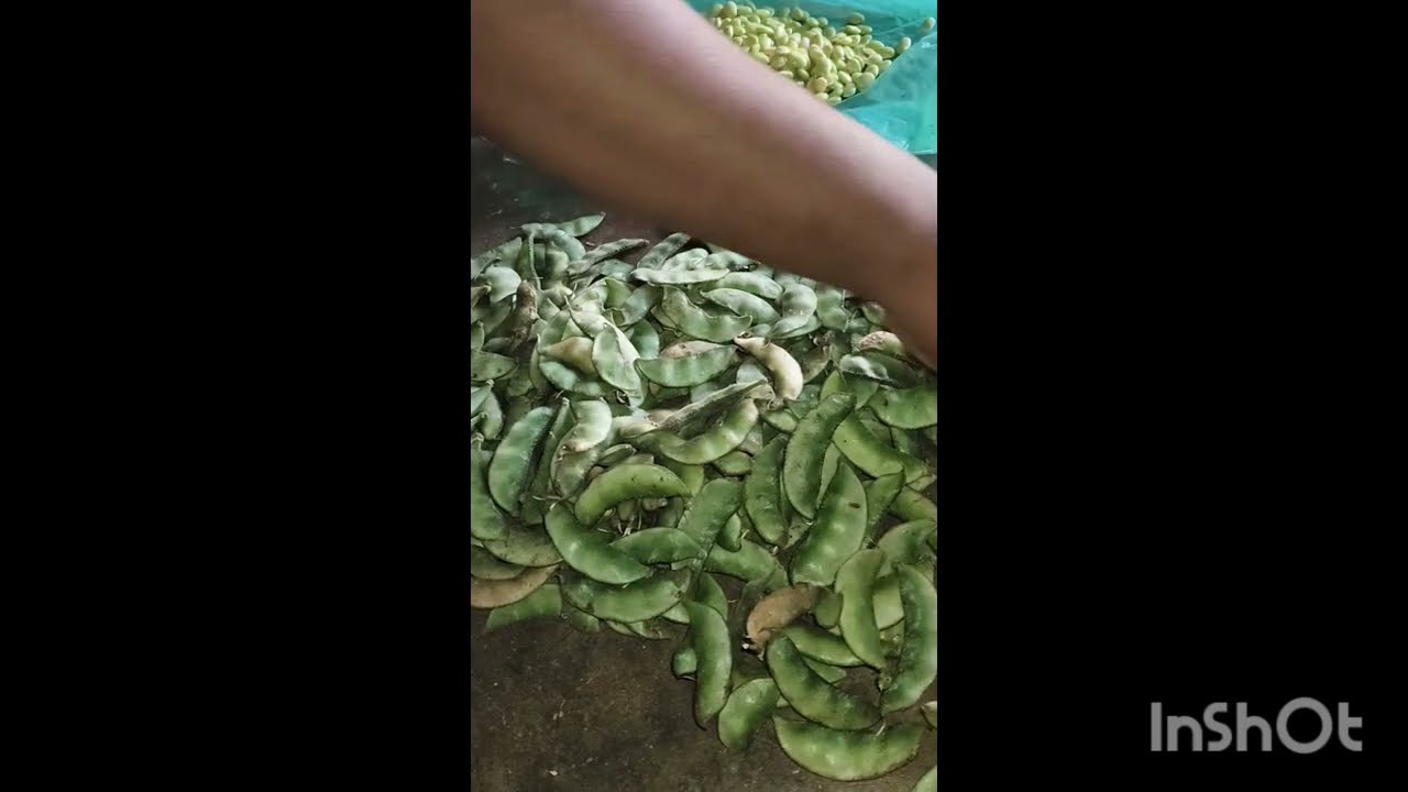 ಭೂಮಿನ ಕಾಪಾಡೋಕೆ ಬಂದ ಅಜಿತ್ ನ ಸ್ನೇಹಿತ  ವಿಕ್ರಂ/ನಿನ್ನ ಜೊತೆ ನನ್ನ ಕಥೆ