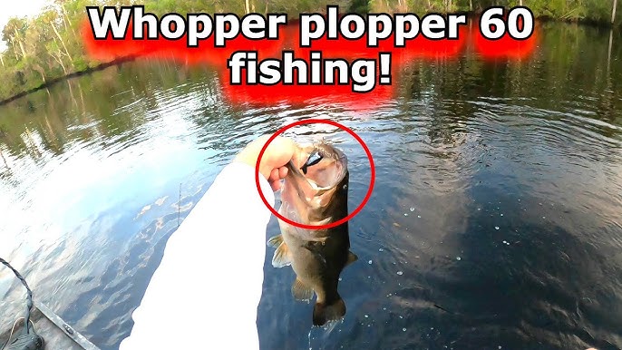 Whopper plopper 60 is AWESOME! Insane top water bass fishing 