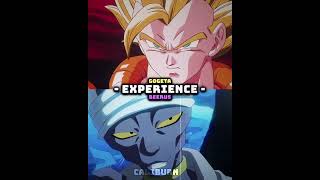 Gogeta Vs Beerus