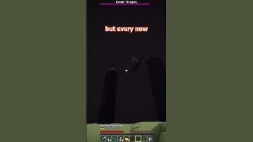 the SAFEST way to kill the ender dragon! #minecraft