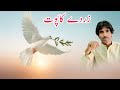Zirde Kapoot Hala New Balochi Song 2025 NABI BAKHSH DILBAR KHARANI 