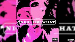 [Download Audio] Drake -  Nice for What