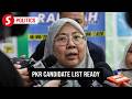 PKR candidate list for Johor and Negri Sembilan 99% finalised, says party sec-gen