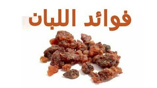 فوائد اللبان