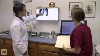 ABC Podiatry | Columbus Ohio