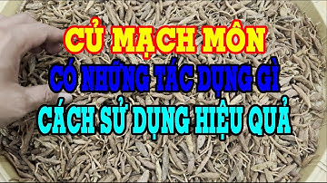 Củ mạch môn có tác dụng gì - Củ mạch môn ngâm rượu - Củ mạch môn chữa bệnh gì