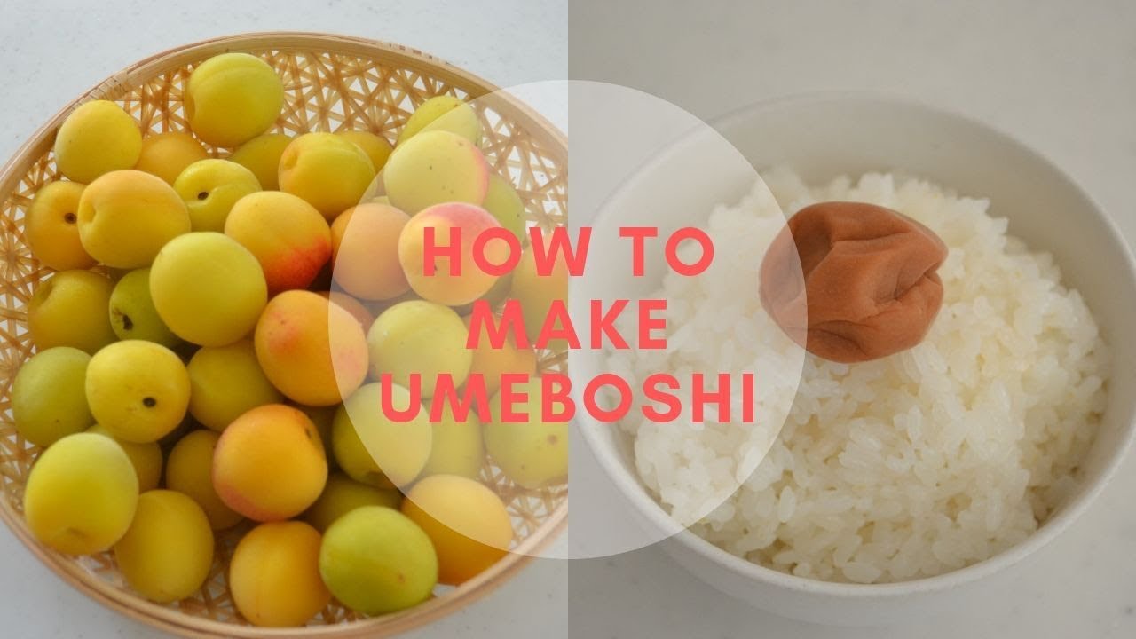 How To Make Umeboshi Epic Episode 梅干しの作り方 Ep108 Youtube