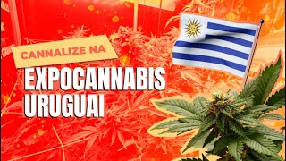 EXPOCANNABIS URUGUAI 2022 (Vertical Vídeo) | Cannalize nas Ruas
