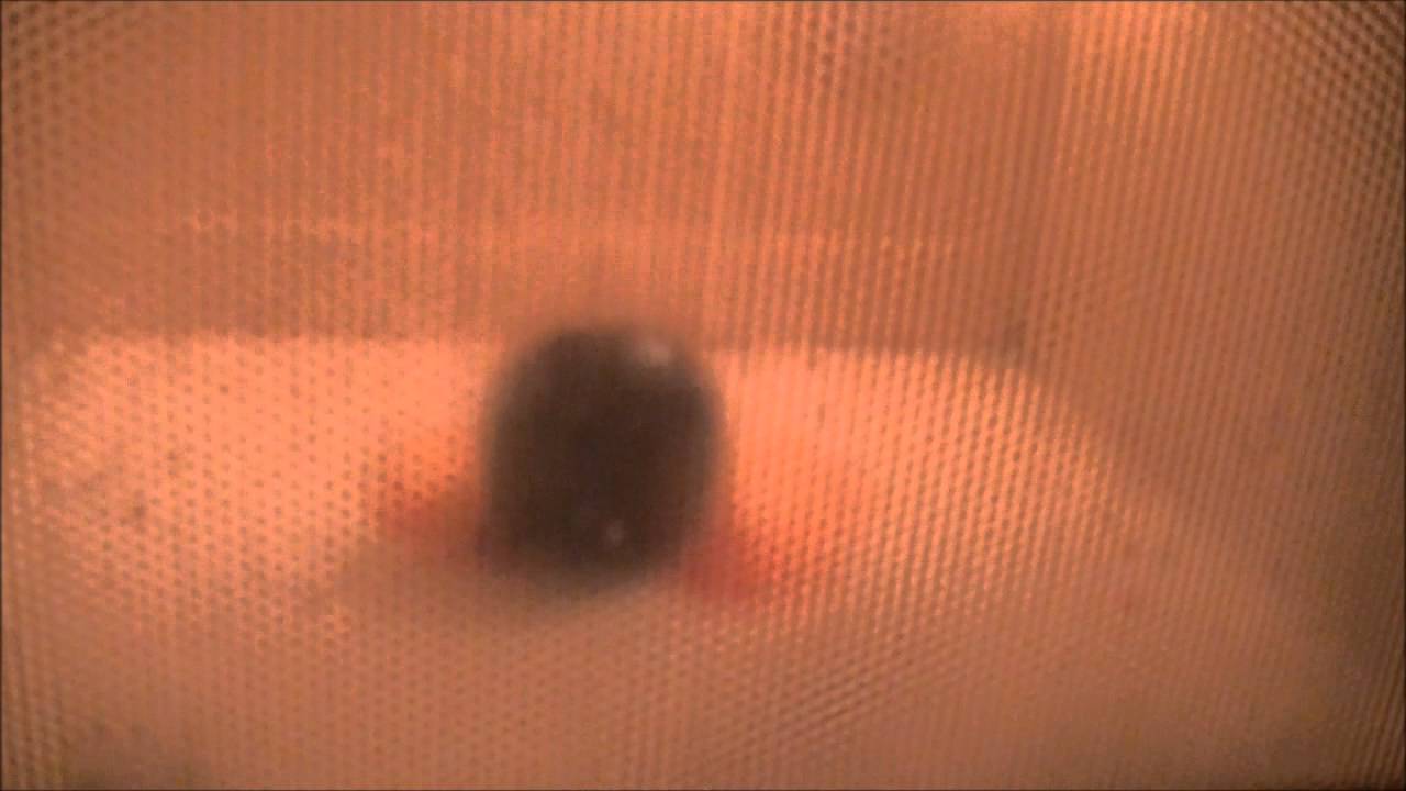 Microwave Me Plum YouTube