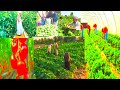 @ARKN_Real156 Cultivation Improvement Video