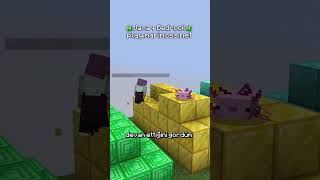 Minecraft Sunucumda Bloklarımı Çalan Oyuncuyu Banladım
