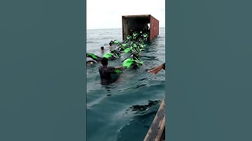 Unknown Bikes Found in Cargo Ship Container?! 🏍️🚢#shorts