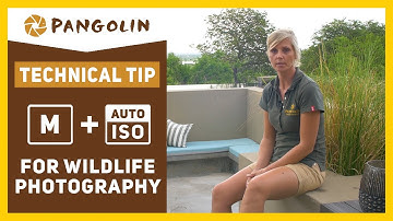 MANUAL MODE With AUTO ISO - A Game Changer for Wildlife  and Nature Photographers