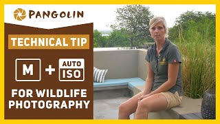MANUAL MODE With AUTO ISO - A Game Changer for Wildlife  and Nature Photographers