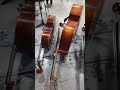 Sezione Contrabbassi #concerto #bass #music #basso #palco #musica