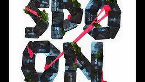 Spoon - The Book I Write