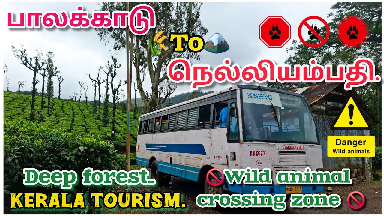 பாலக்காடு To நெல்லியம்பதி பருவமழை பேருந்து பயணம் | Palakkad To nelliyampathy monsoon bus travel.