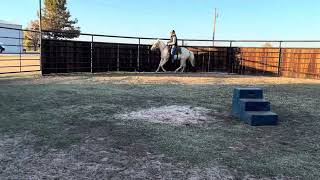Stormi First Day of Cantering Under Saddle