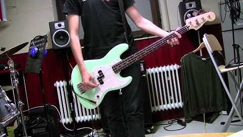 Blink 182 Stay together for the Kids Bass Cover