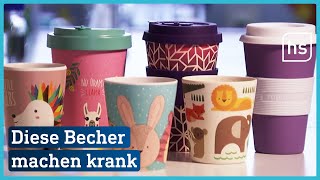 Verbraucherzentrale Warnt Vor Bambus-Kunststoff-Geschirr Hessenschau