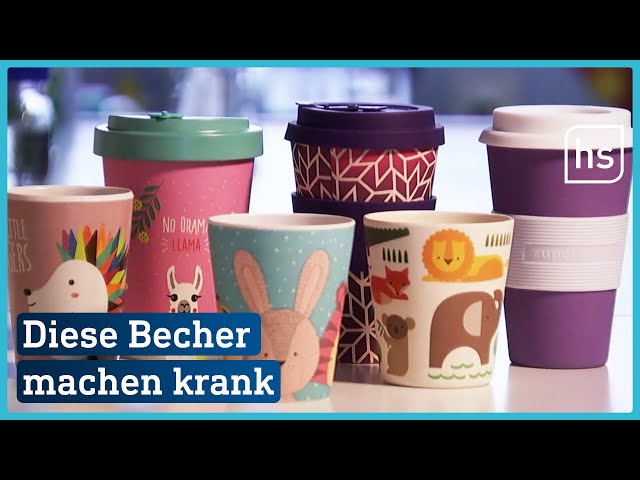 Verbraucherzentrale warnt vor Bambus-Kunststoff-Geschirr | hessenschau -  YouTube