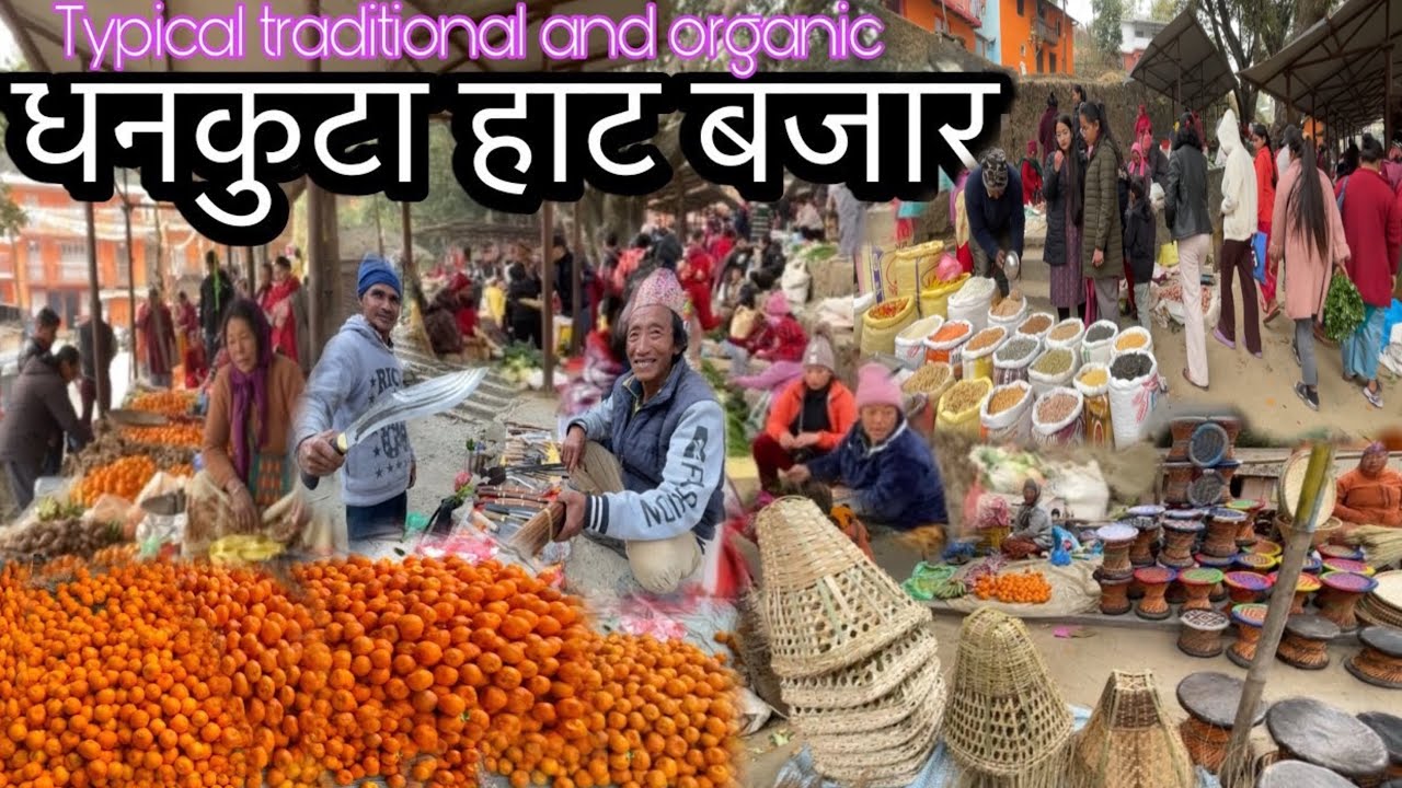 DHANKUTA HAT BAZAR ,मध्य पुर्वी पहाडी अर्गानीक सागसब्जी,दाल,मस्याम र सुन्तलाको राजधानी बीहीबारे बजार