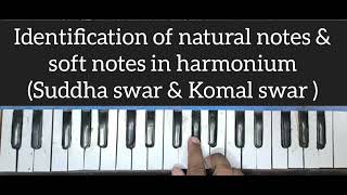 How to Identify Natural and Soft Notes on Harmonium (Suddha Swar & Komal Swar Recognition) screenshot 1