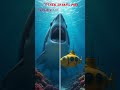 "MEGALODON FOUND? The Truth About Sharkzilla"🦈🌊✨#megalodonshark #sharkfacts #oceanmysteries