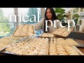【Meal prep for the week】wrapping 500 dumplings, wontons & potstickers, easy brunch | Tiffycooks Vlog